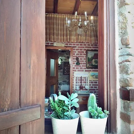 House Tatil Evi *